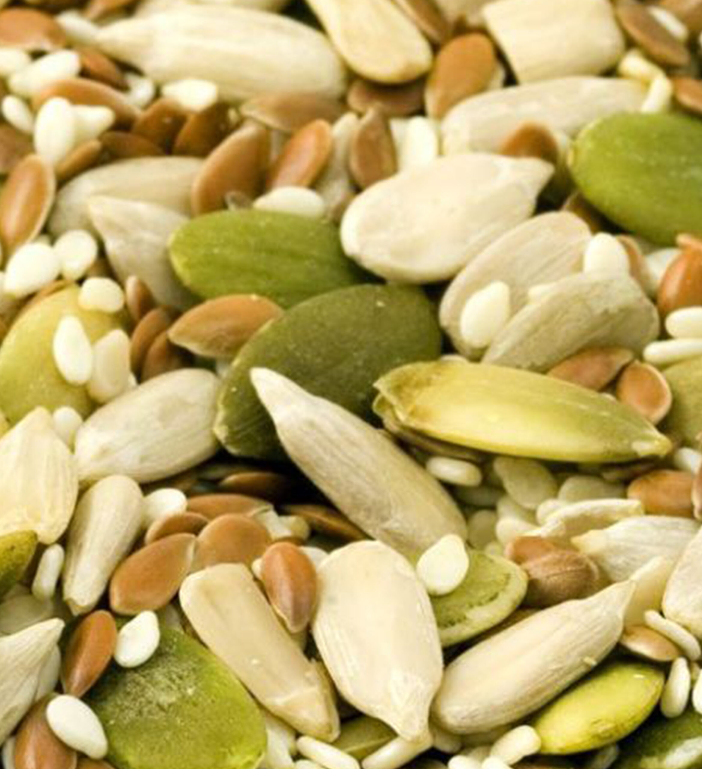 JORNADA PRESENTACIÓN Semillas Rurales