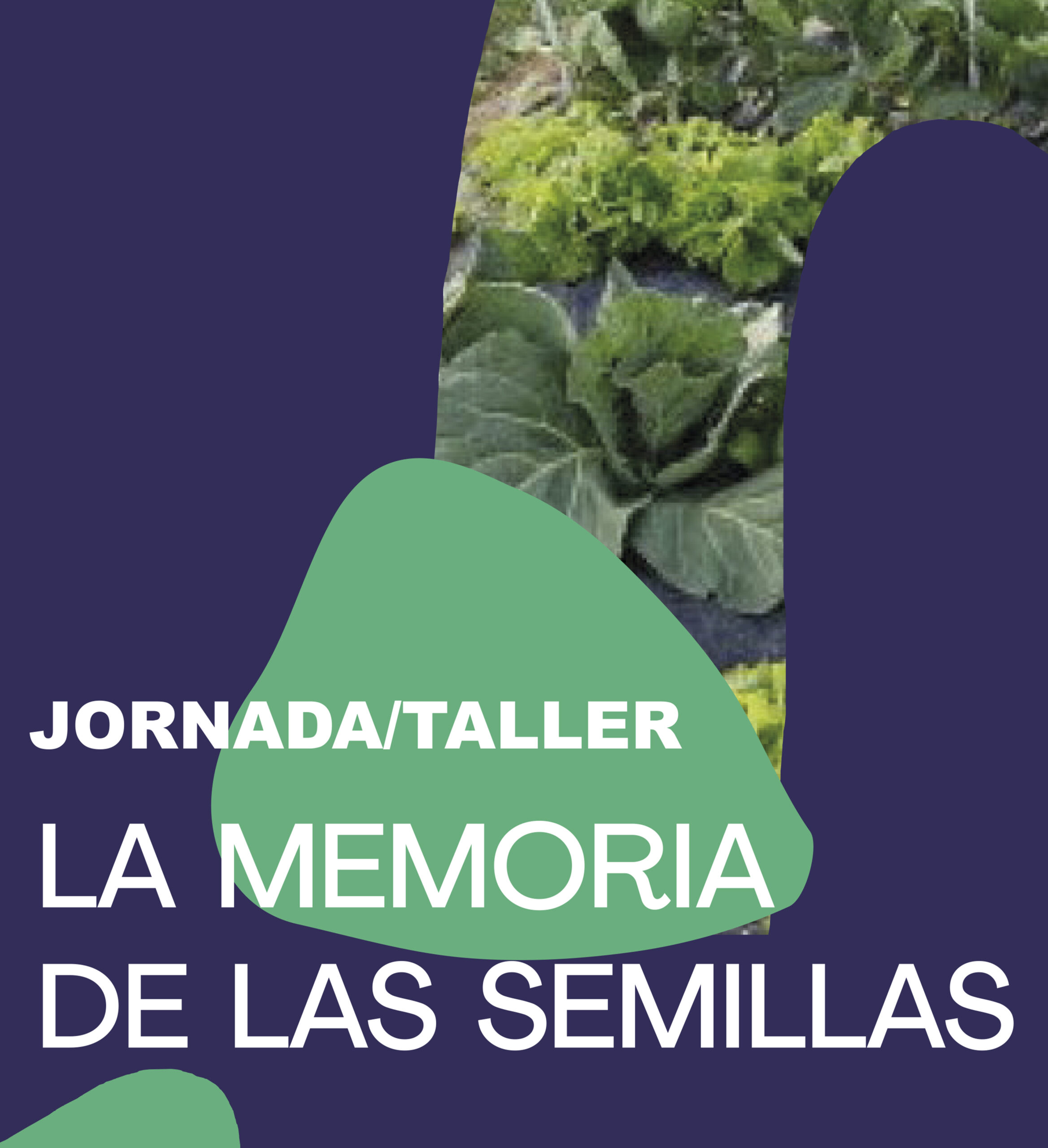 JORNADA / TALLER La Memoria de las Semillas